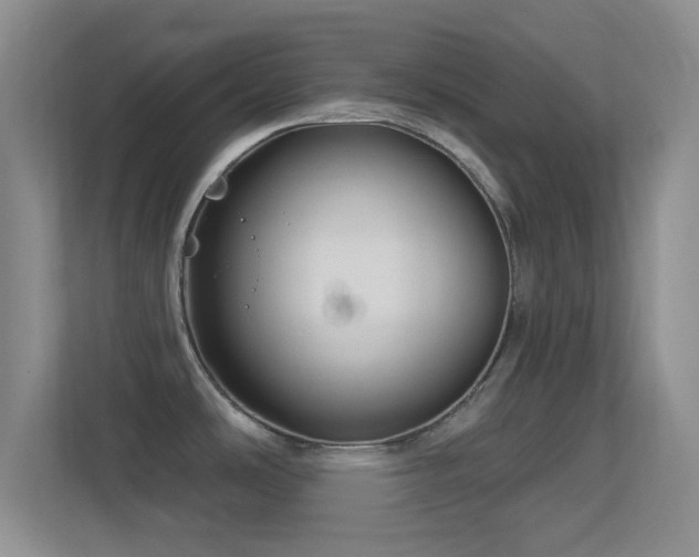 X0000113581486200909251145