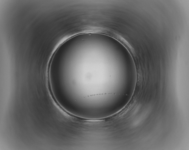 X0000113581487200909251145