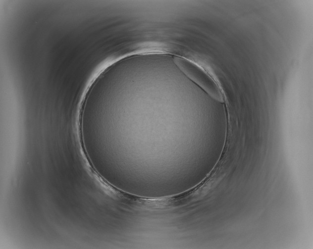 X0000113581488200909251145