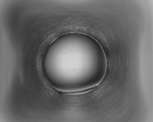 X0000113581489200909251144