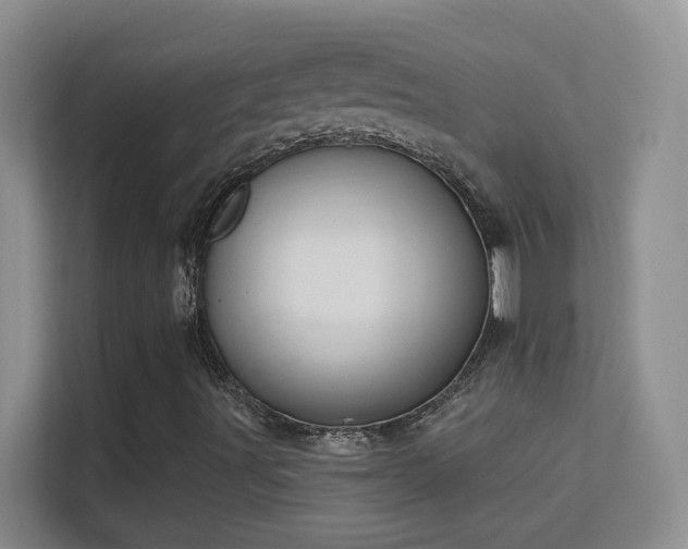 X0000113581491200909251144