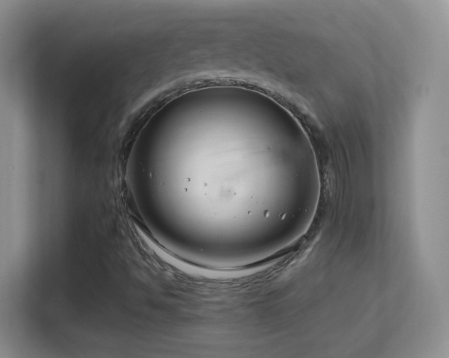 X0000113581494200909251144