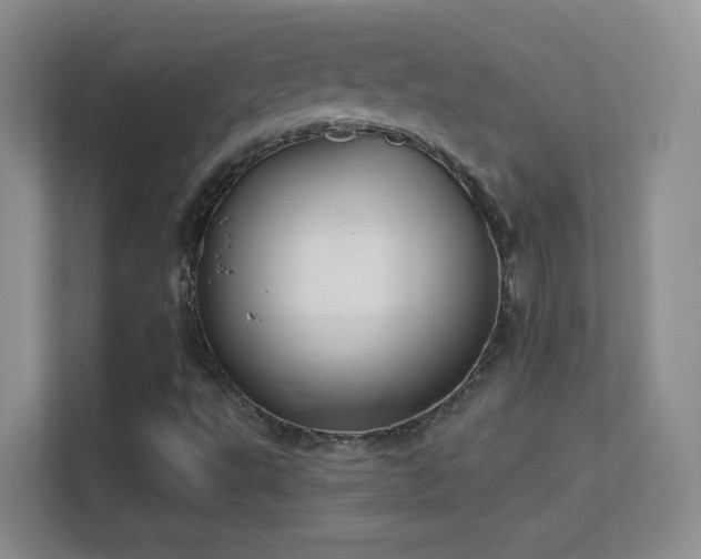 X0000113581495200909251144