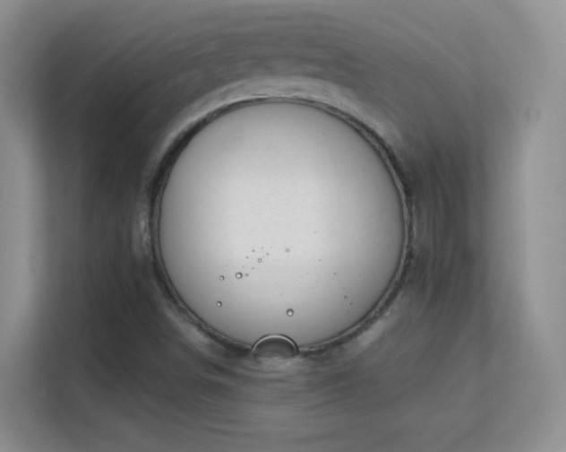 X0000113581498200909251144