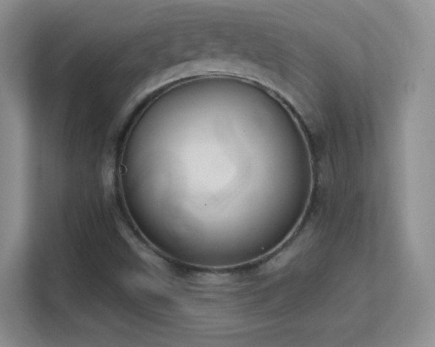 X0000113581499200909251144