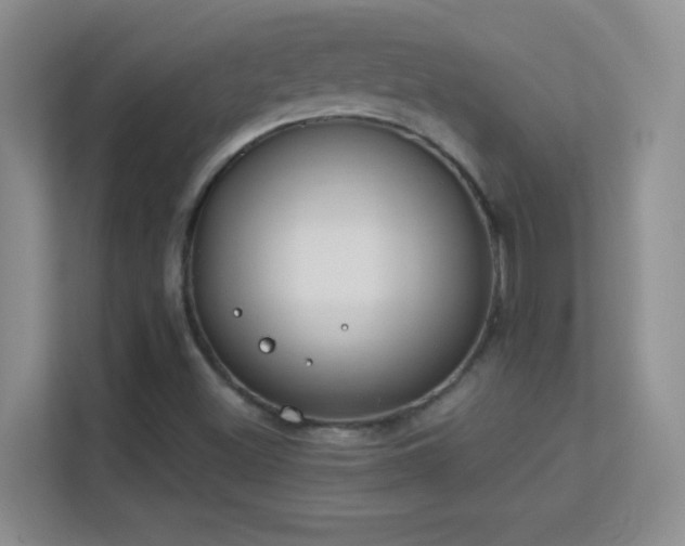 X0000113581500200909251144