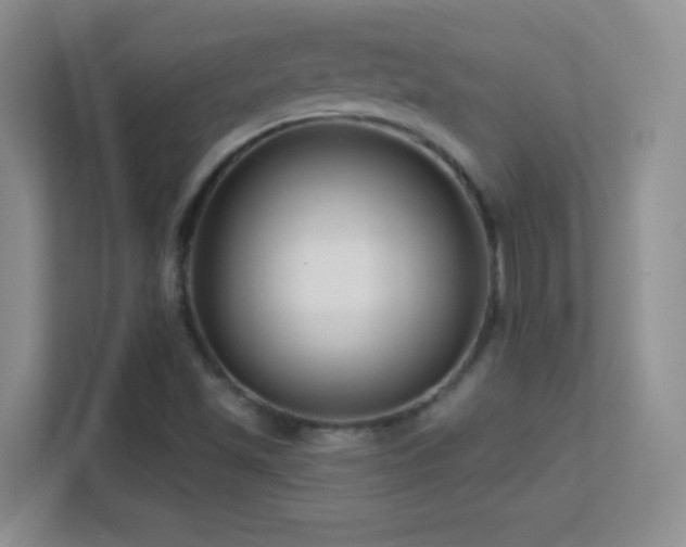 X0000113581501200909251144