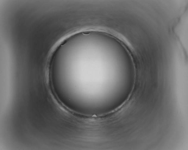 X0000113581504200909251144