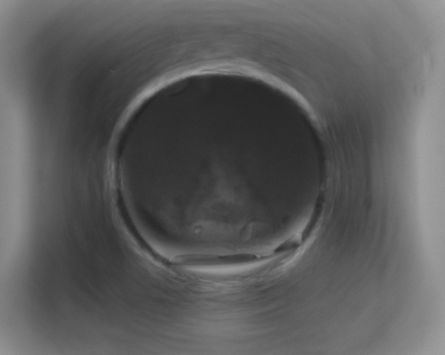 X0000113581506200909251144