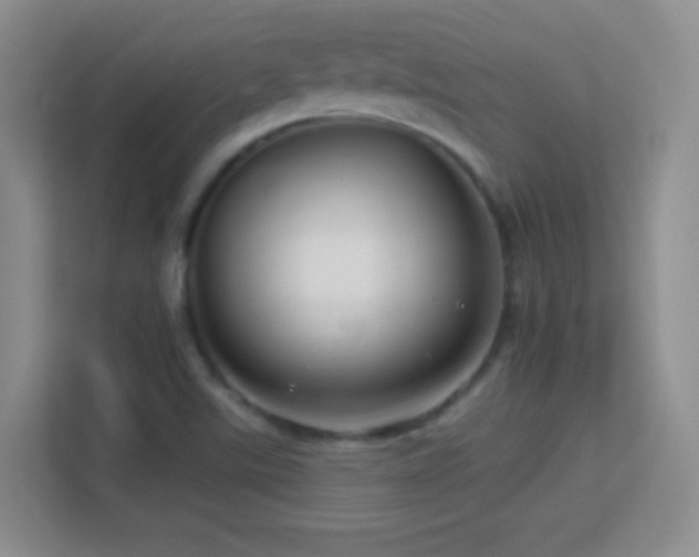 X0000113581507200909251144