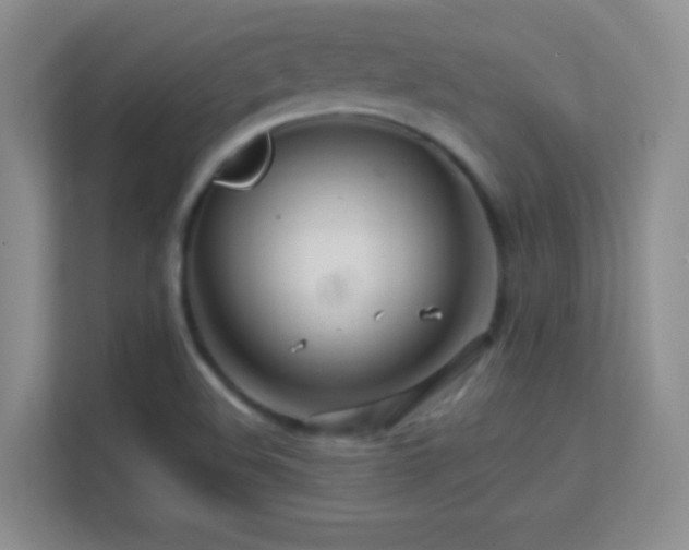 X0000113581508200909251144