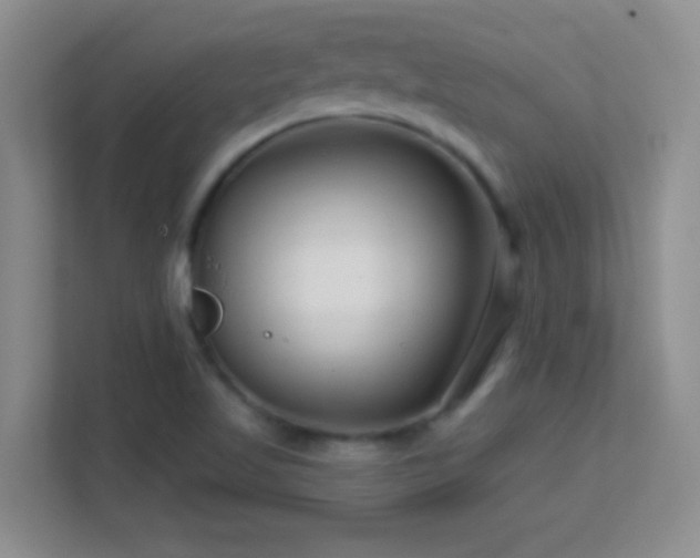 X0000113581509200909251144