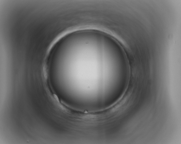 X0000113581510200909251144