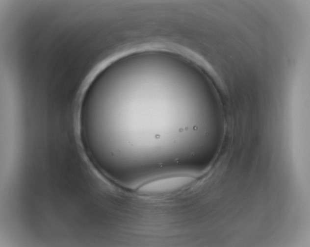 X0000113581512200909251144