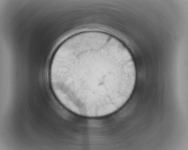 X0000113581514200909251144