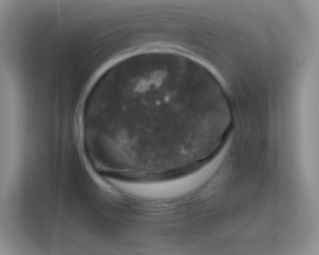 X0000113581515200909251144