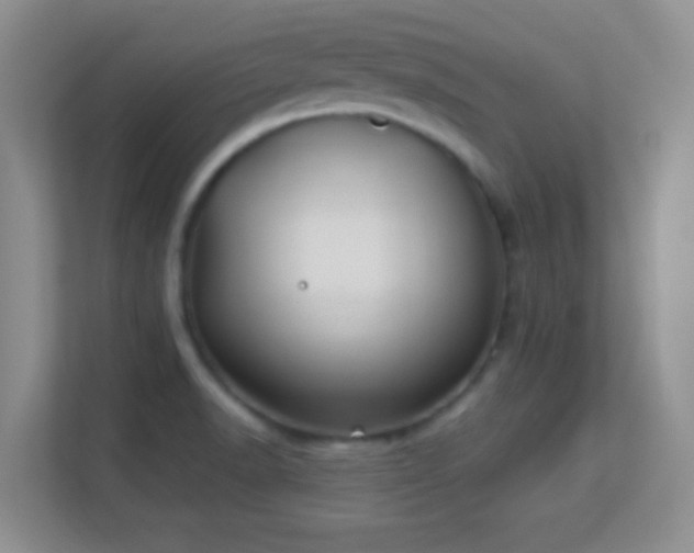 X0000113581518200909251144