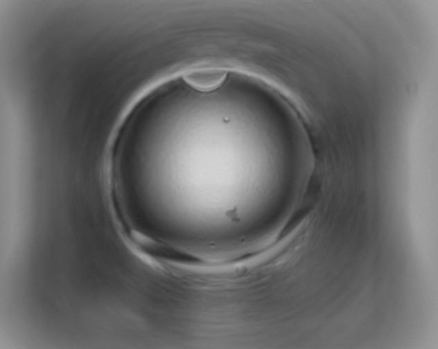 X0000113581519200909251144