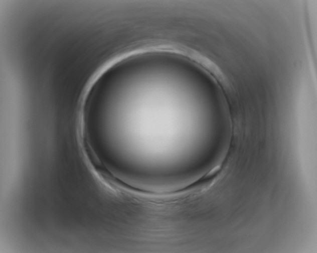 X0000113581520200909251144