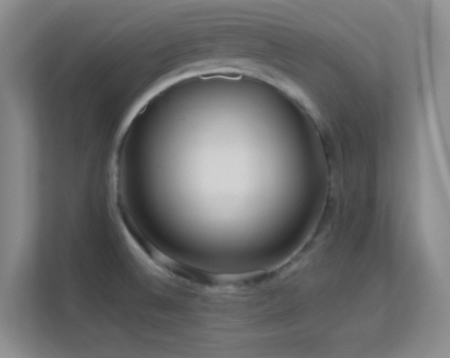 X0000113581524200909251144