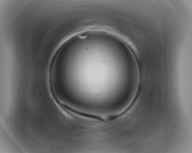 X0000113581525200909251144