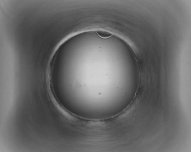 X0000113581526200909251144