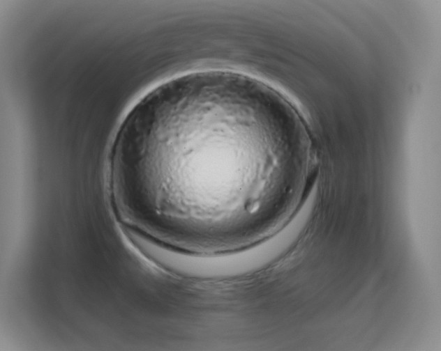 X0000113581527200909251144