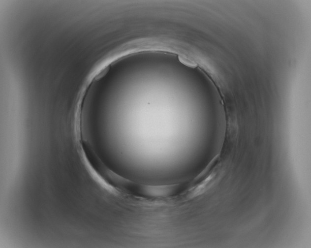 X0000113581528200909251144