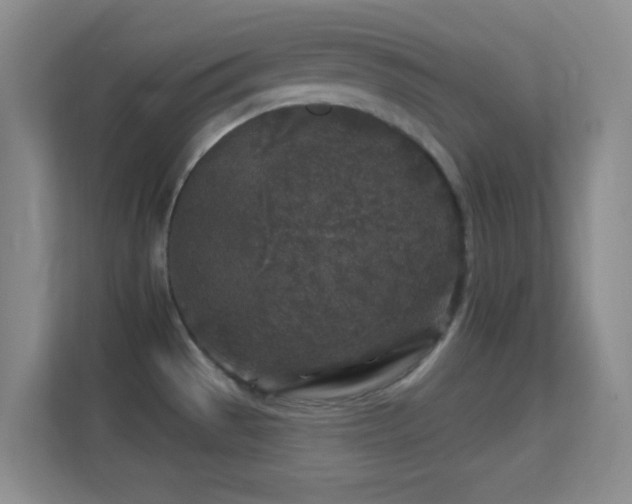 X0000113581529200909251144