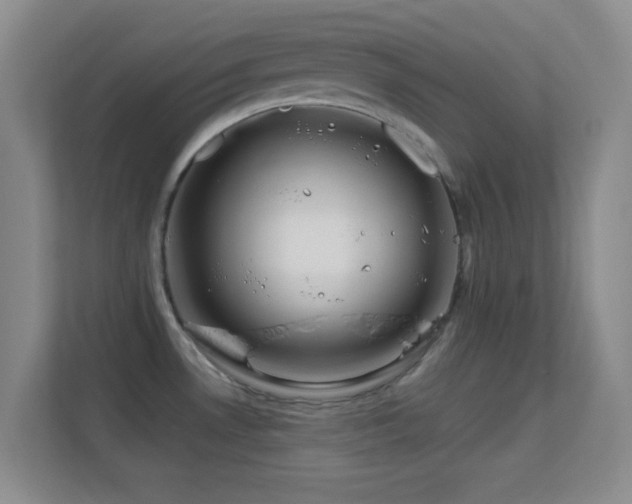 X0000113581530200909251144