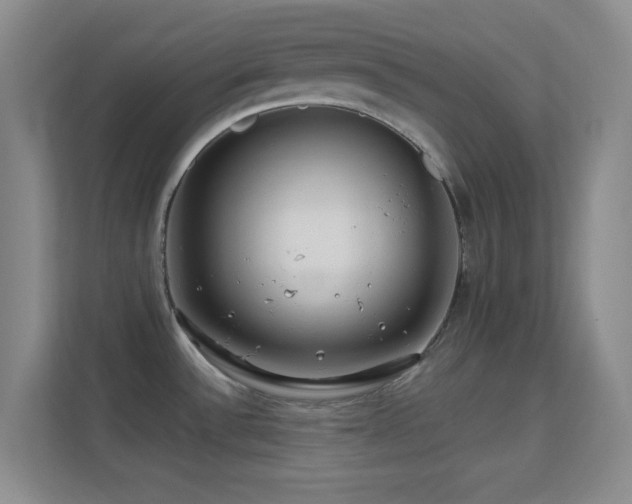 X0000113581532200909251144