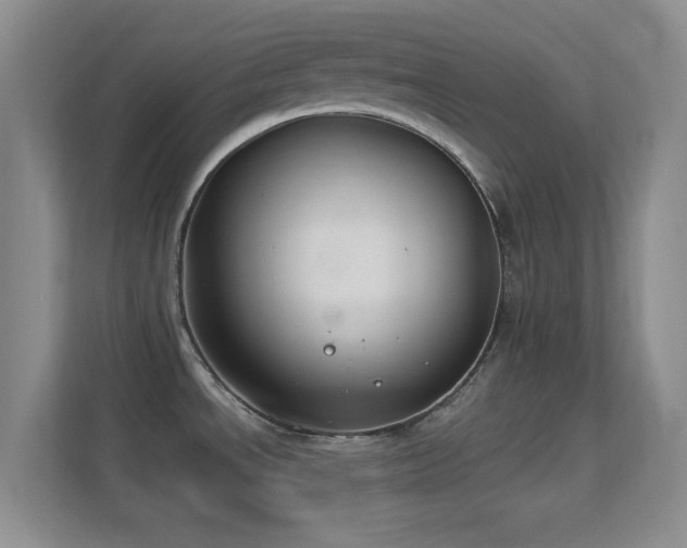 X0000113581534200909251144