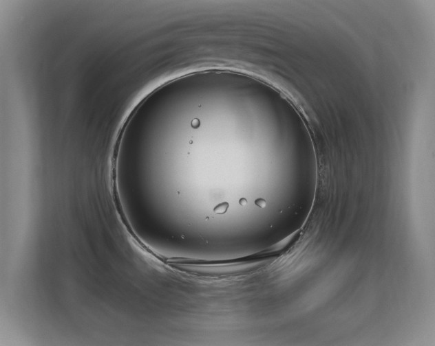 X0000113581535200909251145