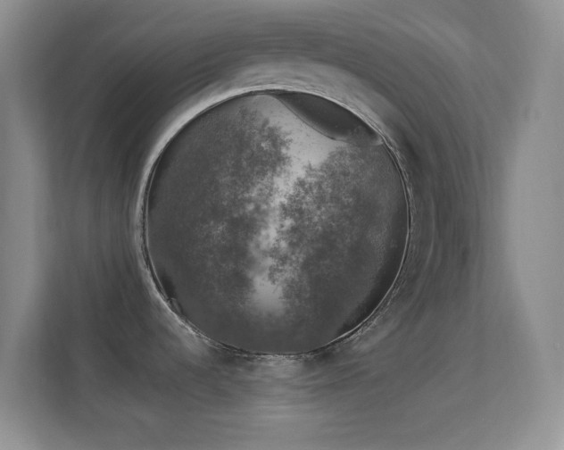 X0000113581536200909251145