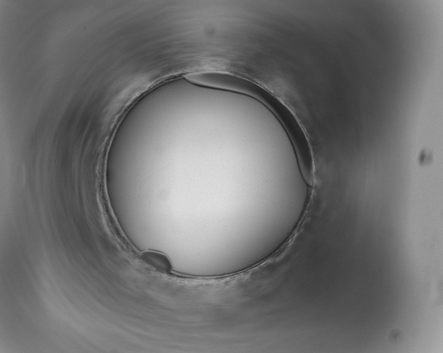 X0000113580001200910021704