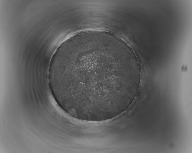 X0000113580002200910021704