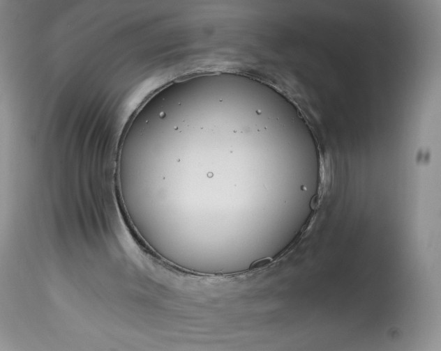 X0000113580003200910021704