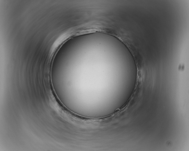 X0000113580004200910021704