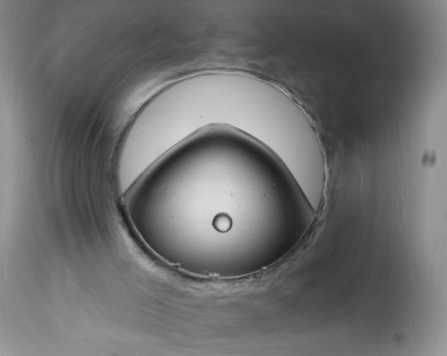 X0000113580005200910021704