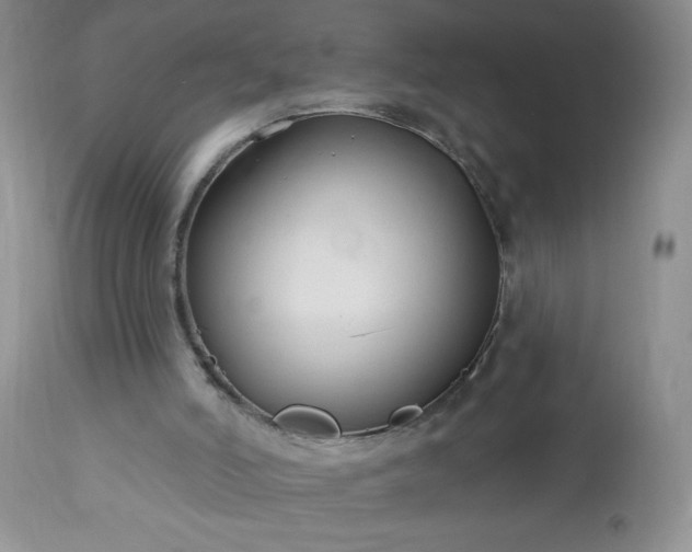 X0000113580006200910021704