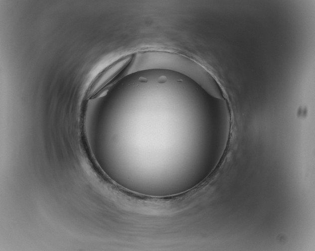 X0000113580008200910021704