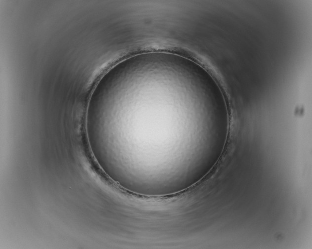 X0000113580010200910021704