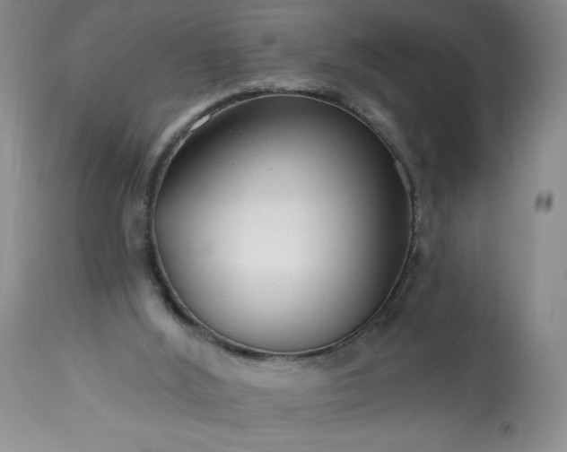 X0000113580012200910021704