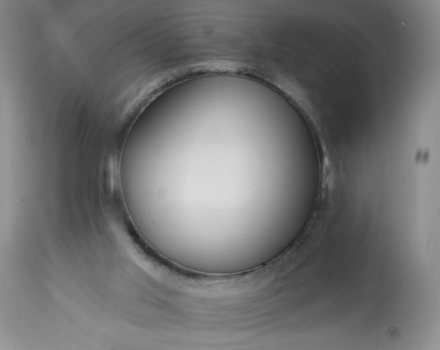 X0000113580013200910021704