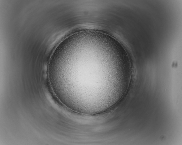 X0000113580014200910021704