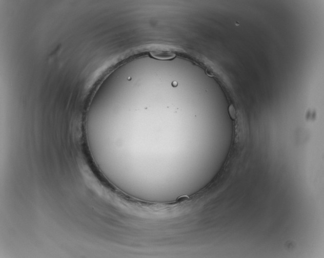 X0000113580015200910021704