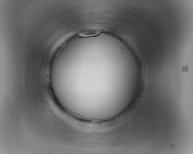 X0000113580016200910021704