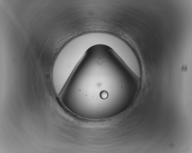 X0000113580017200910021704