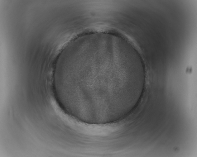 X0000113580018200910021704