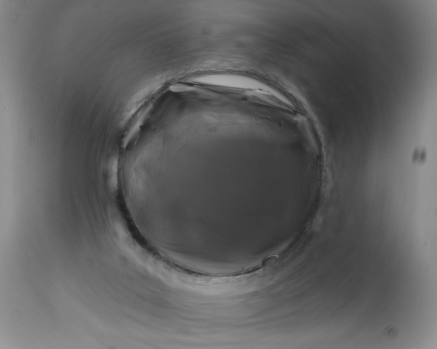 X0000113580019200910021704